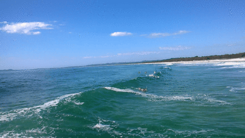 Animated GIF