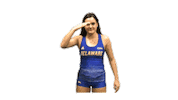 College Sports Ncaa Sticker by Delaware Blue Hens