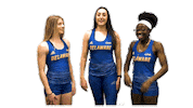 College Sports Ncaa Sticker by Delaware Blue Hens