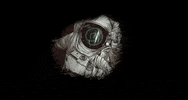 Crypto Bitcoin GIF by SafemoonOfficial