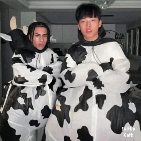 Cow GIF