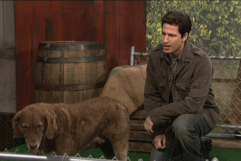 mark wahlberg GIF