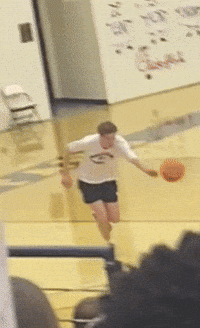 Basketball Lebron GIF