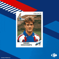 carrefourfrance  GIF