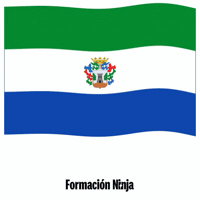 Flag Spain GIF by Formación Ninja