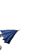 Umbrella Raining Sticker by Krachtwerkt