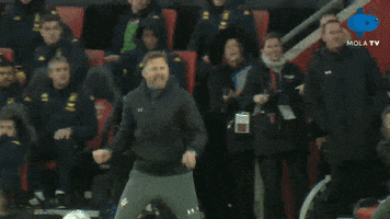 Premier League Celebration GIF by MolaTV