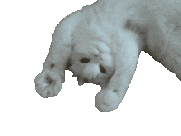 Bibou Sticker