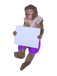 Fun Monkey Sticker