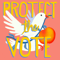 Voting Rights Georgia GIF by Creative Courage