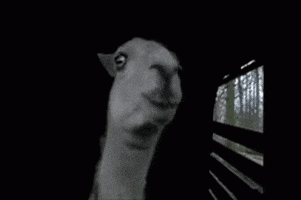 enjoy llamas GIF