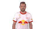 Andreas Ulmer Goal Sticker by FC Red Bull Salzburg