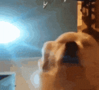 Gahs GIF by Rocket Mortgage