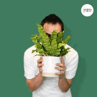 GreenMeUp happy green freude glad GIF