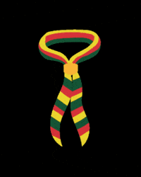 Sant Feliu GIF by Escoltes Catalans