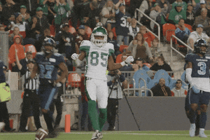 Dance Dancing GIF by Saskatchewan Roughriders