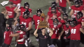 northcentralcollege nccfootball GIF by NCAlumni