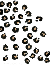 numeroottofur miao animalier numerootto numero otto Sticker