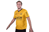 Fifa Flying Sticker by VVV-Venlo