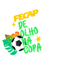 Futebol Copa Sticker by FECAP
