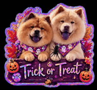 chowchows_sukiandmika halloween trick or treat cute dog spooky season GIF