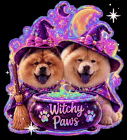 chowchows_sukiandmika halloween trick or treat cute dog spooky season GIF
