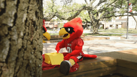 Hey You College GIF by Lamar University