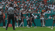Football Celebration GIF by New England Patriots