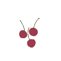 marijabobic celebration birthday cake fruit Sticker