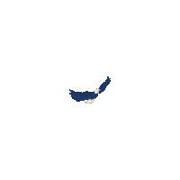 Bald Eagle Usa Sticker by Kyte Baby