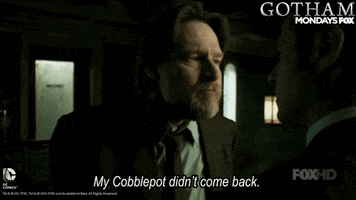 gotham GIF by Fox TV
