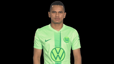 Bundesliga No GIF by VfL Wolfsburg