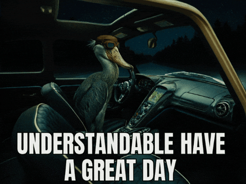 Nazoom1 instagram giphycreatortest tgpu nazoom GIF