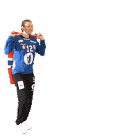 Euro 2024 Handball Sticker by Norges Håndballforbund