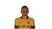 Swipe Up Sticker by SG Dynamo Dresden