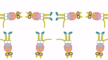 Mustard's Spring Collection