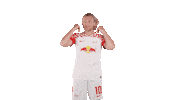 Ice Cold Football Sticker by RB Leipzig