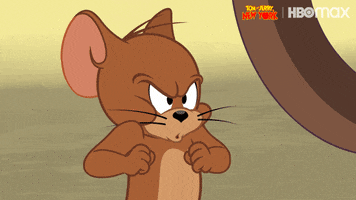 Angry Tom And Jerry GIF by HBO Max