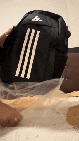 da8cc40f3e00416888ce5bd1b168f707 giphysubir GIF