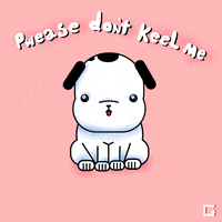 China Dogs GIF by gifnews