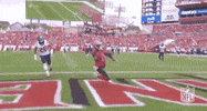 Regular Season Football GIF by NFL