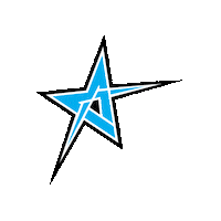 Star Sticker