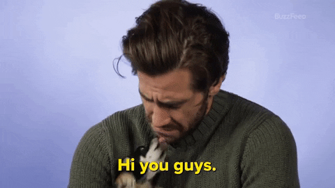 Jake Gyllenhaal GIF by BuzzFeed