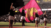 San Marcos Bobcats GIF by Texas State Football