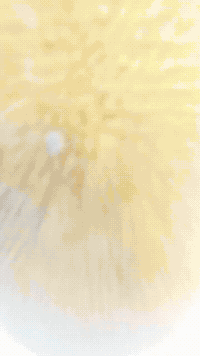 Zoom Sitting GIF by Youtooz