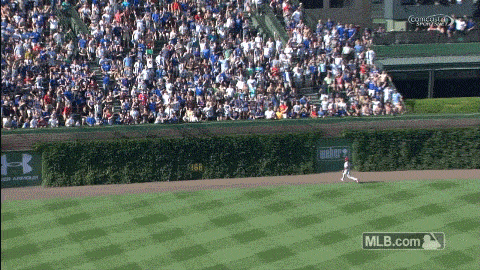 phillies GIF