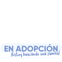 Psv Proyecto Sticker by Chemisette