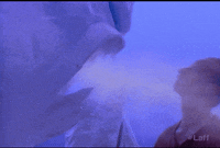 breathe cabin boy GIF by Laff