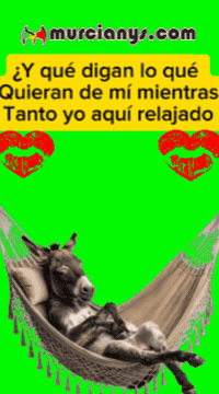 Amigos Descansando GIF by Murcianys LLC