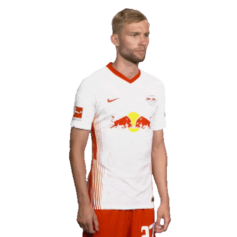 Posing Line Up Sticker by Bundesliga
